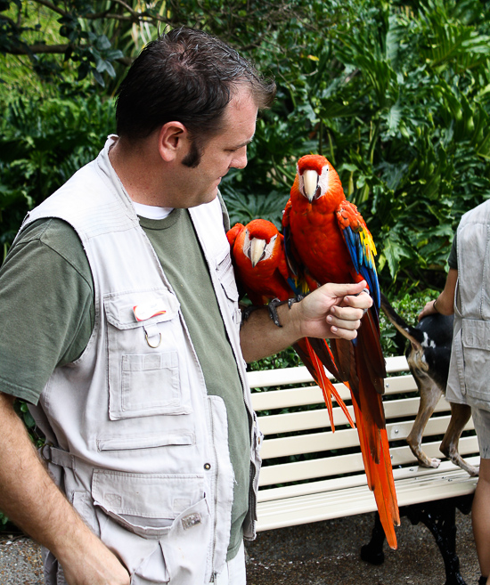 Negative-G - Busch Gardens Tampa 2013 Page Nine