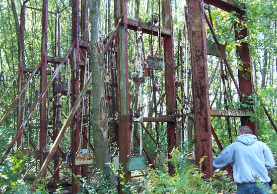 Brilliant Swinging cage ride apologise Opinion you Swinging cage ride are not