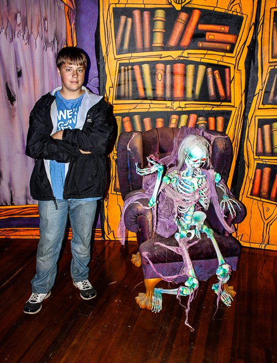 How Much Does It Cost To Go Up Into The Arch In St Louis