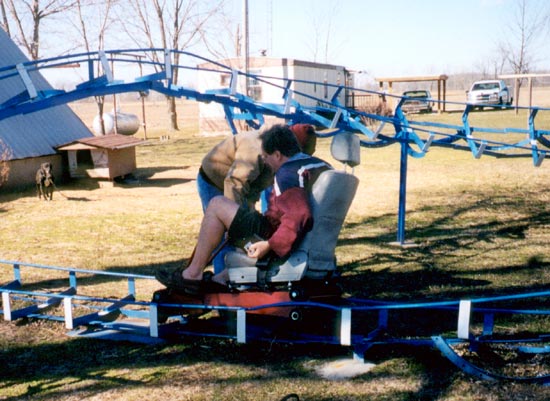 The Blue Flash Backyard Coaster