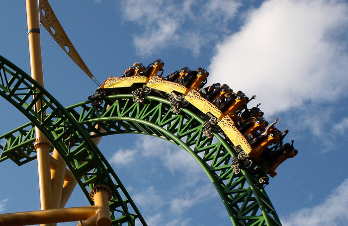 The Cheetah Hunt roller coaster at Busch Gardens Tampa, Tampa, Florida
