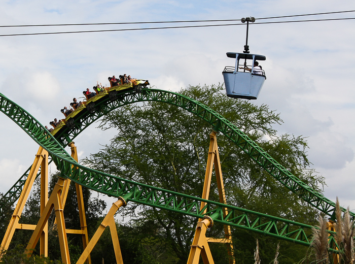 The Cheetah Hunt roller coaster at Busch Gardens Tampa, Tampa, Florida