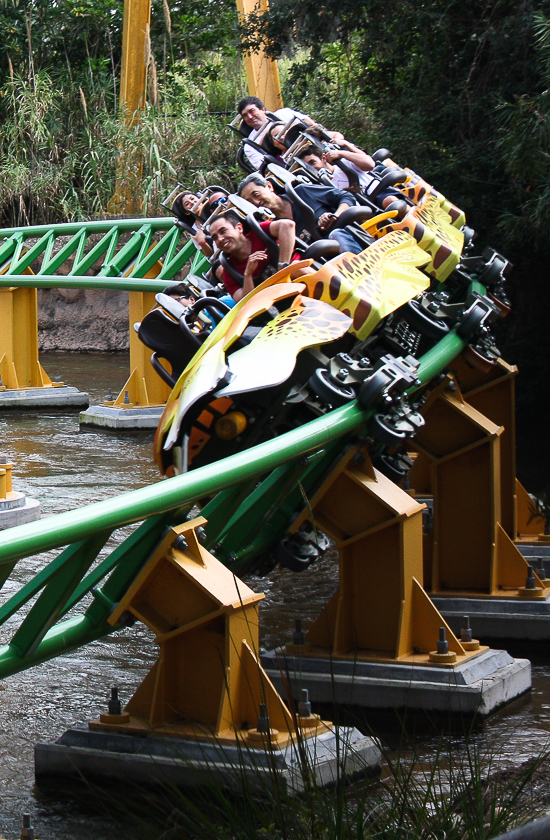 The Cheetah Hunt roller coaster at Busch Gardens Tampa, Tampa, Florida