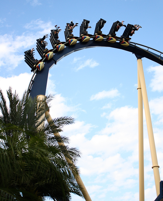 The Montu roller coaster at Busch Gardens Tampa, Tampa, Florida