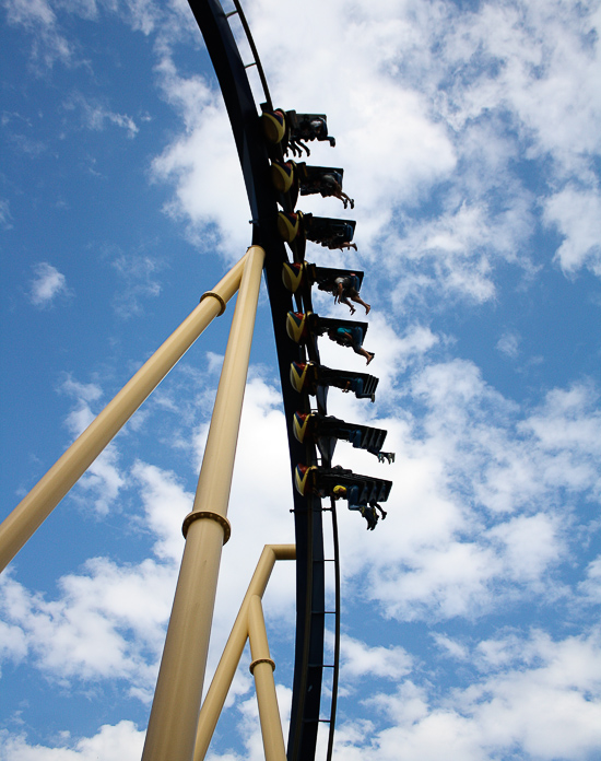 The Montu roller coaster at Busch Gardens Tampa, Tampa, Florida