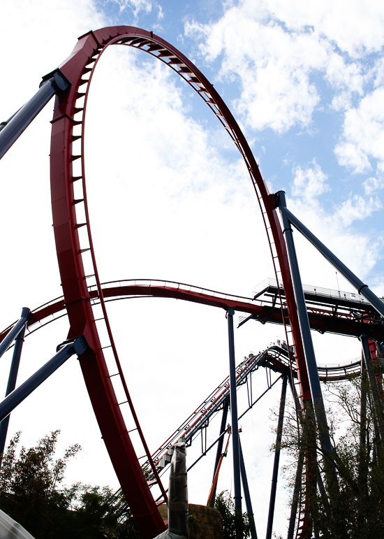 The Sheikra Roller Coaster at Busch Gardens Tampa, Tampa, Florida