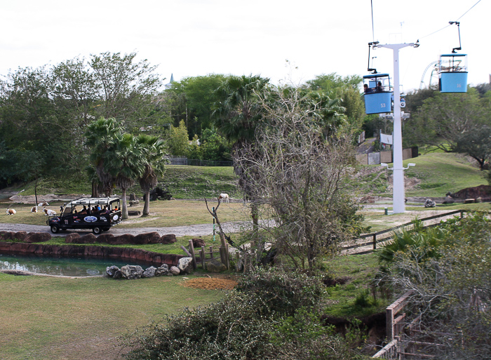 Busch Gardens Tampa, Tampa, Florida