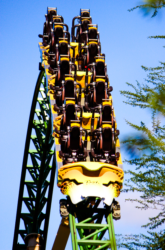 The Cheetah Hunt roller coaster at Busch Gardens Tampa, Tampa, Florida