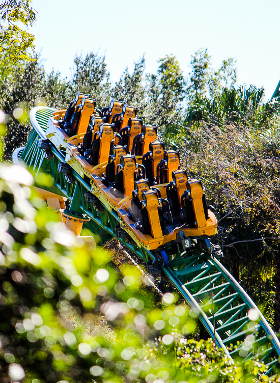 The Cheetah Hunt roller coaster at Busch Gardens Tampa, Tampa, Florida
