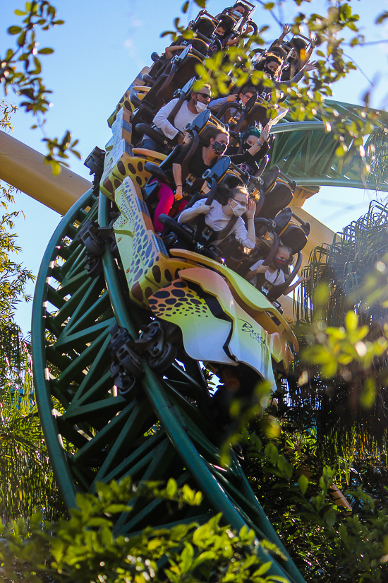 The Cheetah Hunt roller coaster at Busch Gardens Tampa, Tampa, Florida