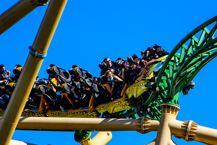 The Cheetah Hunt roller coaster at Busch Gardens Tampa, Tampa, Florida