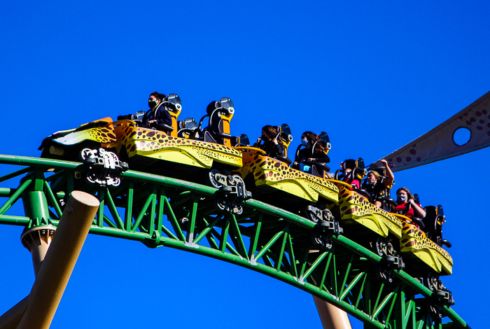 The Cheetah Hunt roller coaster at Busch Gardens Tampa, Tampa, Florida