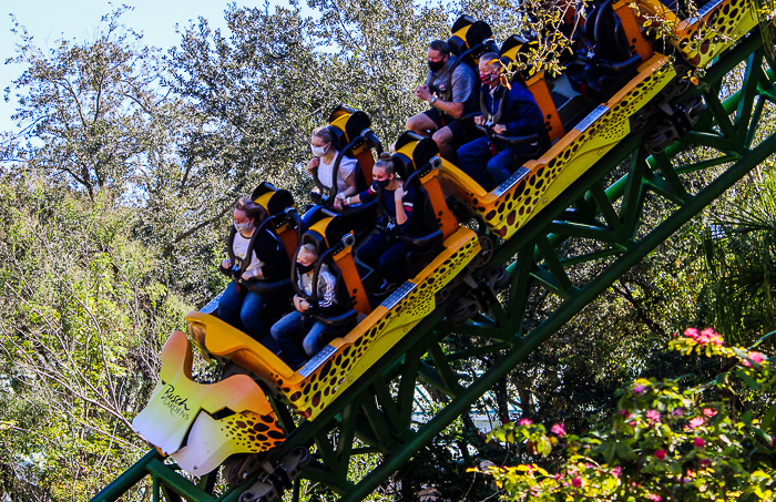 The Cheetah Hunt roller coaster at Busch Gardens Tampa, Tampa, Florida