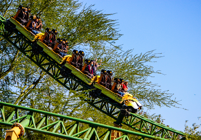The Cheetah Hunt  roller coaster at Busch Gardens, Tampa, Florida
