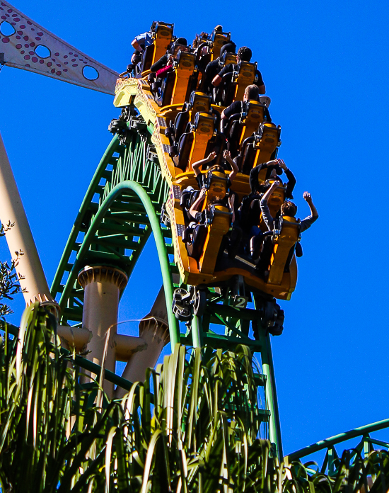 The Cheetah Hunt  roller coaster at Busch Gardens, Tampa, Florida
