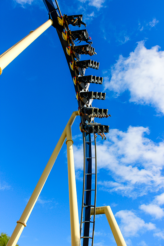 The Montu  roller coaster at Busch Gardens, Tampa, Florida