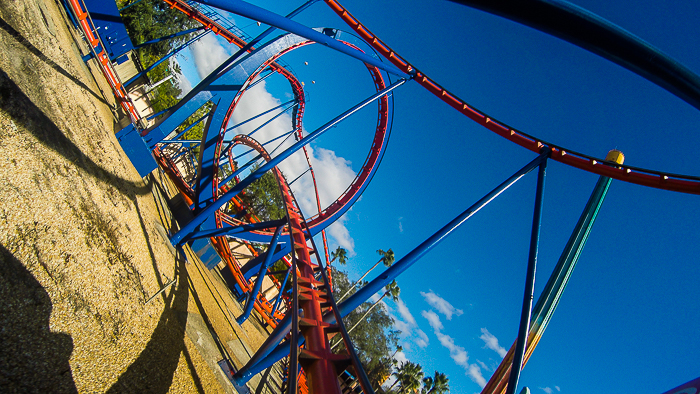The Anton Schwarzkopf designed Scorpion Roller Coaster at Busch Gardens Tampa, Tampa, Florida