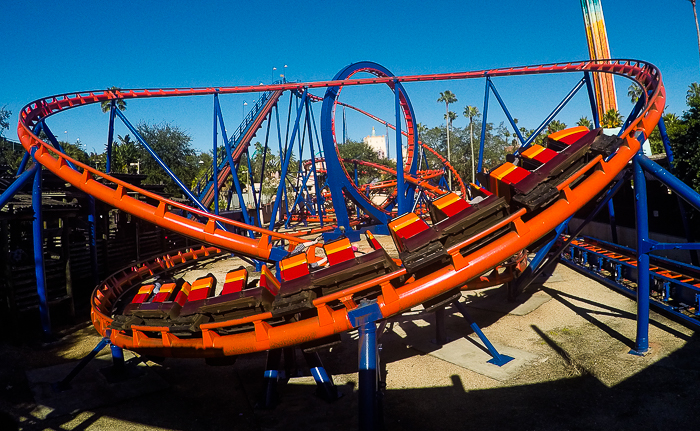 The Anton Schwarzkopf designed Scorpion Roller Coaster at Busch Gardens Tampa, Tampa, Florida