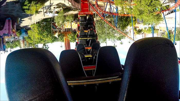 The Anton Schwarzkopf designed Scorpion Roller Coaster at Busch Gardens Tampa, Tampa, Florida