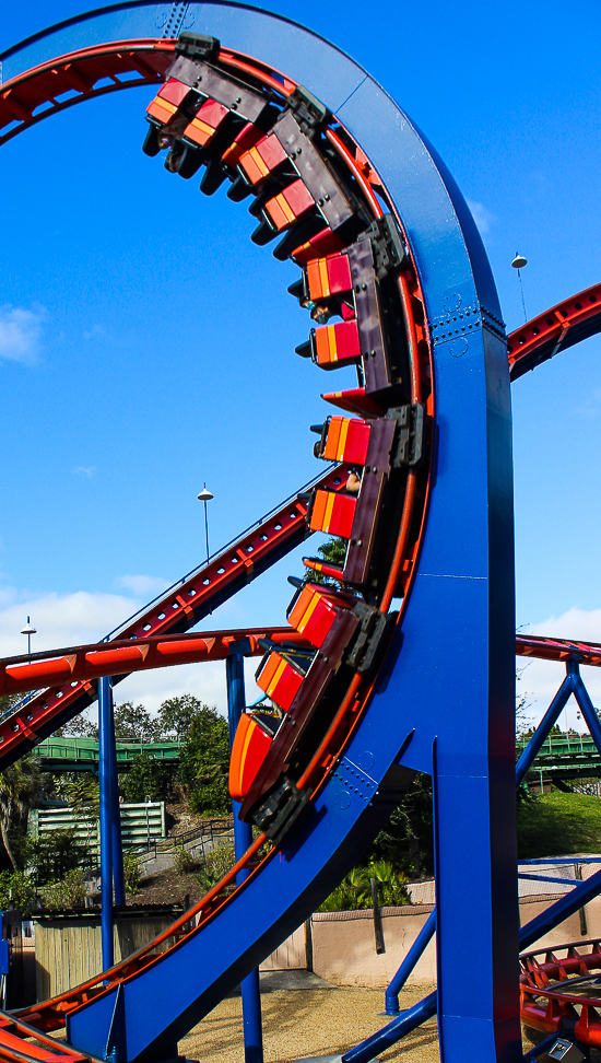 The Anton Schwarzkopf designed Scorpion Roller Coaster at Busch Gardens Tampa, Tampa, Florida