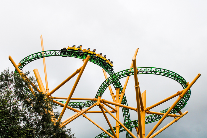 The Cheetah Hunt Rollercoaster at Busch Gardens, Tampa, Florida