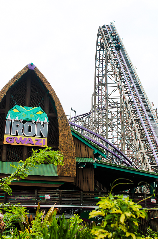 Busch Gardens Tampa, Tampa, Florida