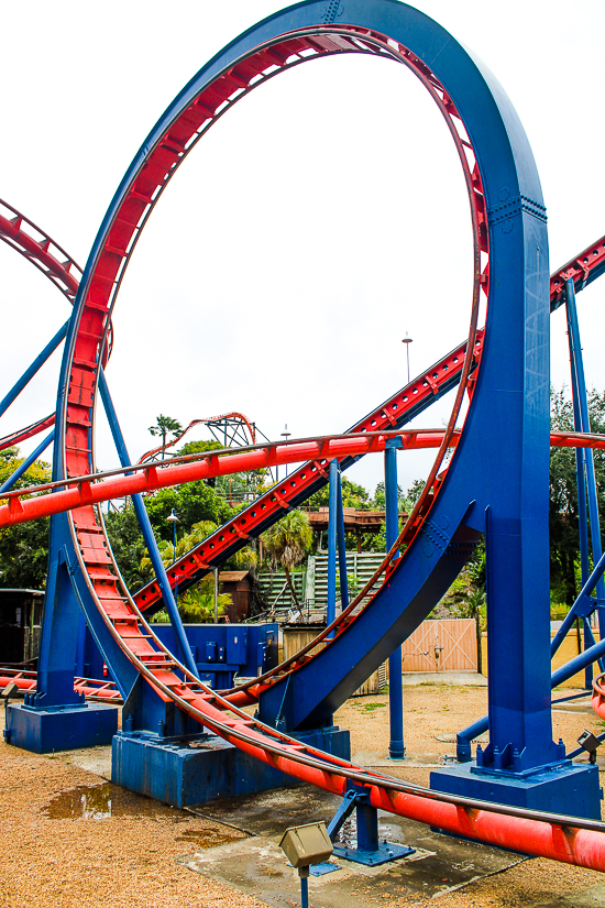 The Scorpion Rollercoaster at Busch Gardens Tampa, Tampa, Florida