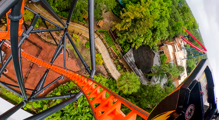 The Tigris Rollercoaster at Busch Gardens Tampa, Tampa, Florida
