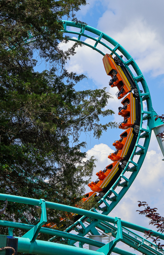 The Carolina Cyclone  roller coaster at Carowinds Theme Park, Charlotte North & South Carolina