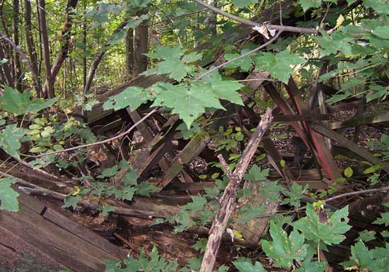 The Abandoned Chippewa Lake Amusement Park, Chippewa Lake, Ohio