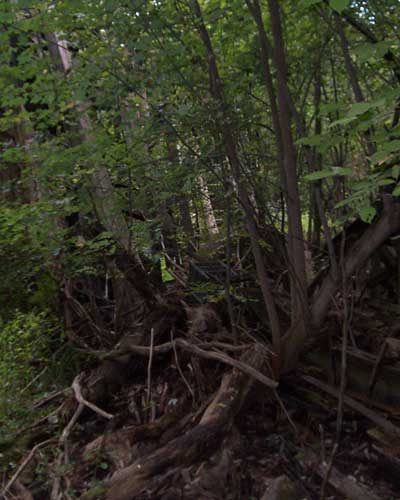 The Abandoned Chippewa Lake Amusement Park, Chippewa Lake, Ohio