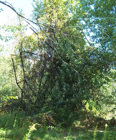 The Abandoned Chippewa Lake Amusement Park, Chippewa Lake, Ohio