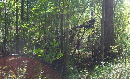 The Abandoned Chippewa Lake Amusement Park, Chippewa Lake, Ohio
