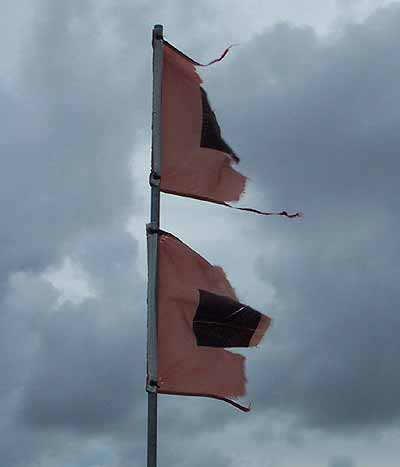 A Hurricane is brewing at Dania Beach!