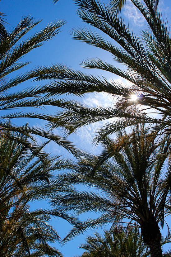 Gilroy Gardens, Gilroy, California