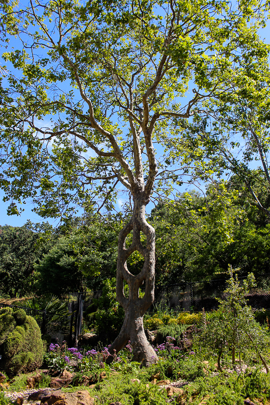 Gilroy Gardens, Gilroy, California