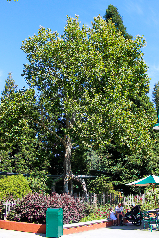 Gilroy Gardens, Gilroy, California