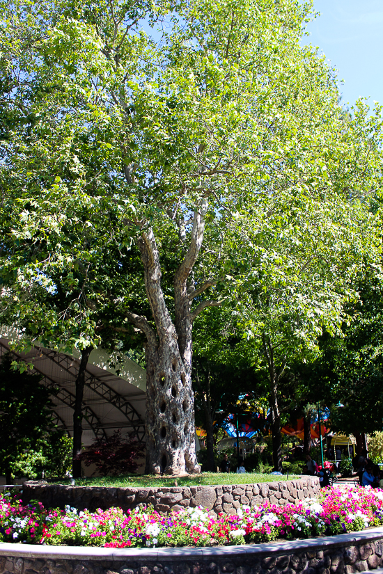 Gilroy Gardens, Gilroy, California