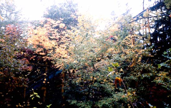 Idora Park, Youngstown, Ohio