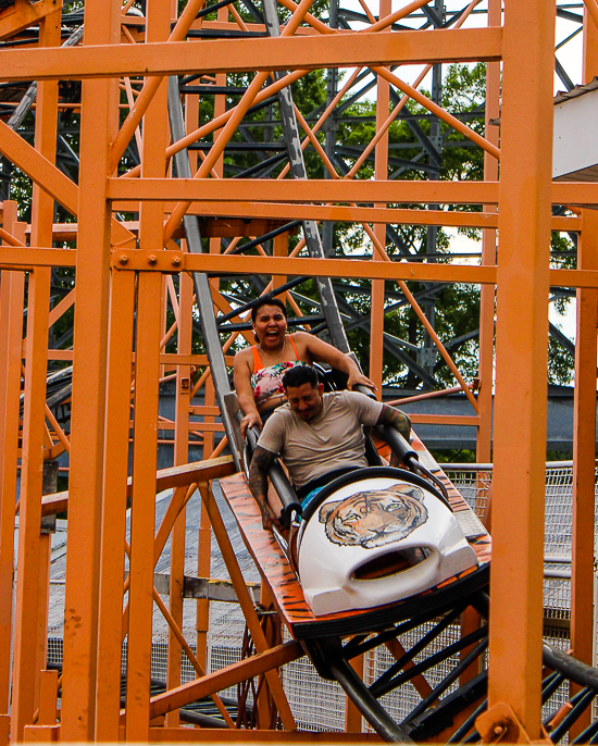 The Tig'rr roller coaster at Indiana Beach, Monticello Indiana