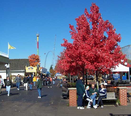 Paramount's Kings Island, Kings Mills, Ohio