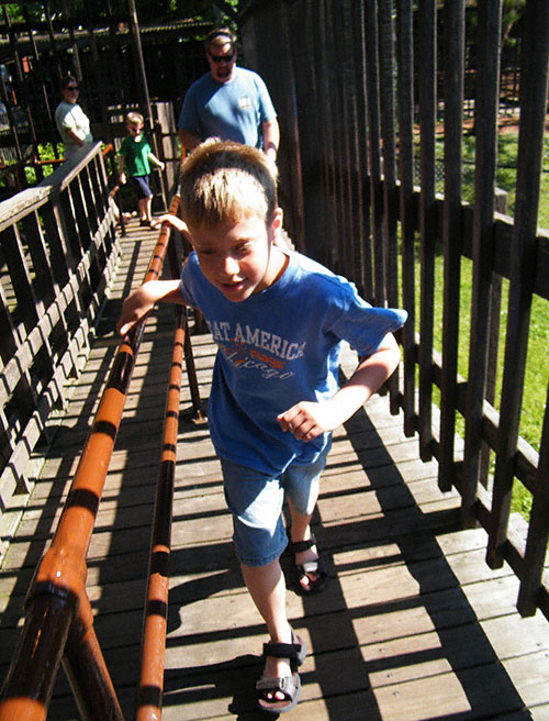 The Beast Roller Coaster at Kings Island, Kings Mills, Ohio