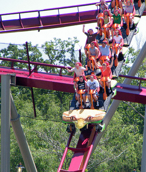The new for 2009 Diamondback Roller Coaster at Kings Island, Kings Mills, Ohio