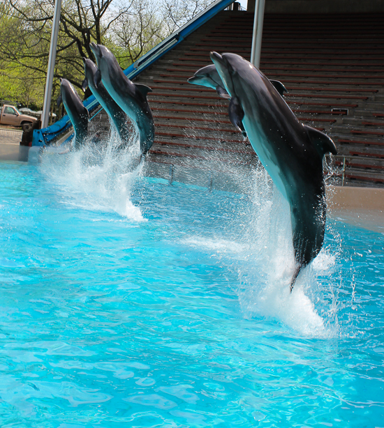 Marineland of Canada, Niagara Falls, Ontario