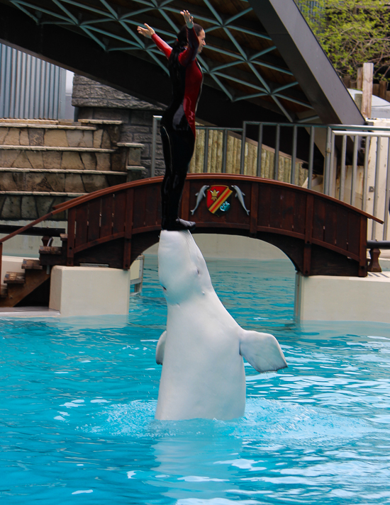 Marineland of Canada, Niagara Falls, Ontario