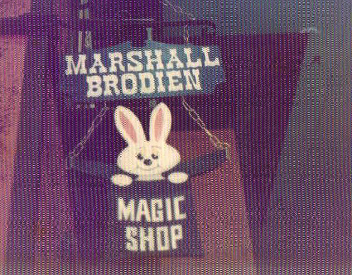 Old Chicago Shopping Center & Amusement Park, Bolingbrook Illinois