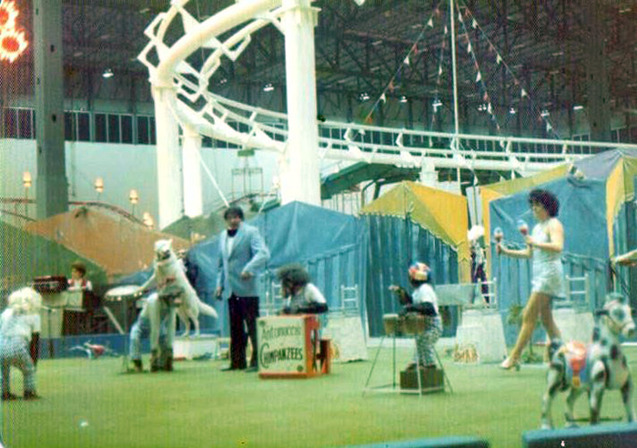 Old Chicago Shopping Center & Amusement Park in Bollingbrook, Illinois