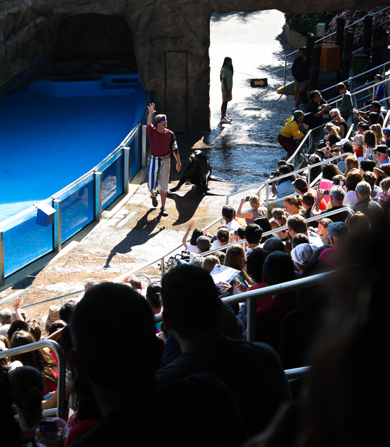 Clyde & Seymore Take Pirate Island at SeaWorld Orlando, Orlando, Florida
