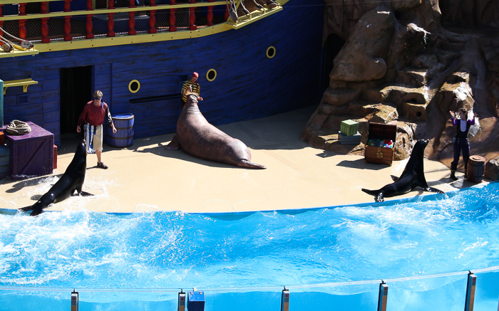 Clyde & Seymore Take Pirate Island at SeaWorld Orlando, Orlando, Florida