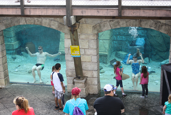 Pearl Divers at SeaWorld Orlando, Orlando, Florida